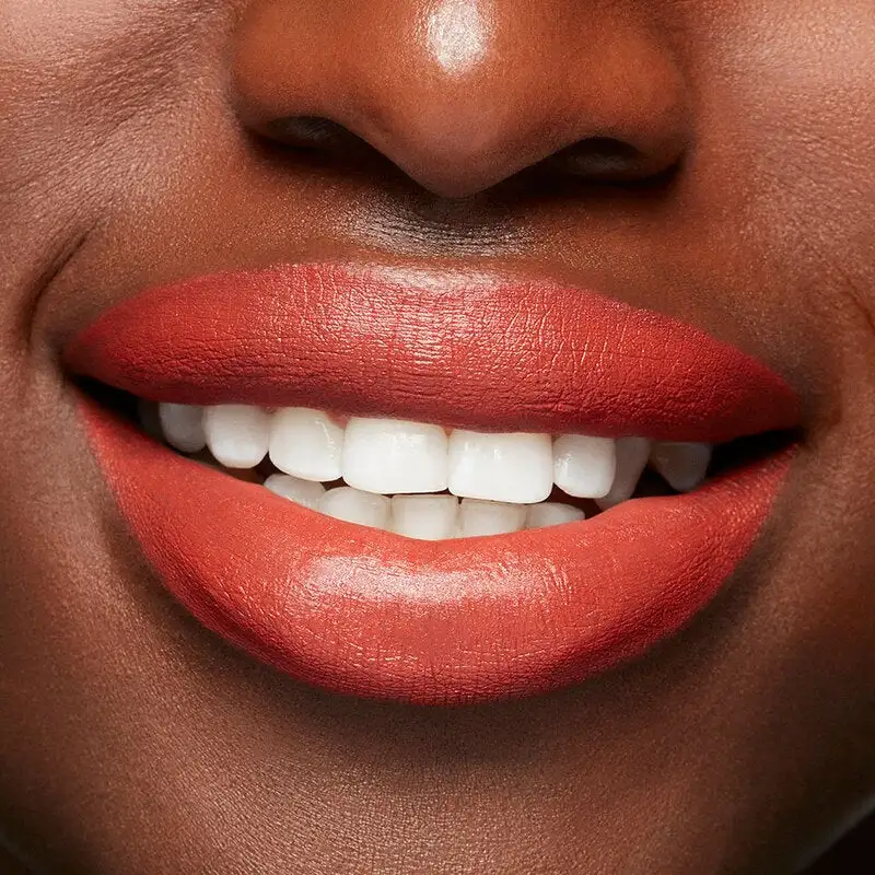 MAC Cosmetics Matte Lipstick Chili 3 MAC Cosmetics Matte Lipstick Chili