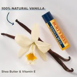 Burt's Bees Burt's Bees Lip Balm Vanilla Bean