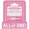 Dr. Bronner's Dr. Bronner's Cherry Blossom Organic Lip Balm Hang Pack -Øyne butikk P 89484