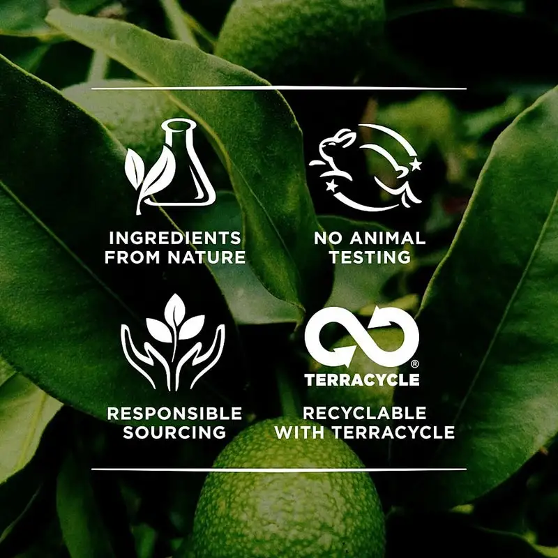 Burt's Bees Burt's Bees Lip Balm Pink Grapefruit 4,25g 5 Burt's Bees Burt's Bees Lip Balm Pink Grapefruit 4,25g - Bilde 3